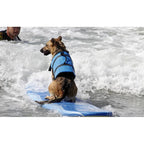 Pet Swimming Water Safety Vest