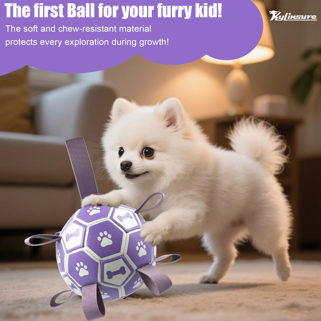 Interactive Dog Toy with Straps