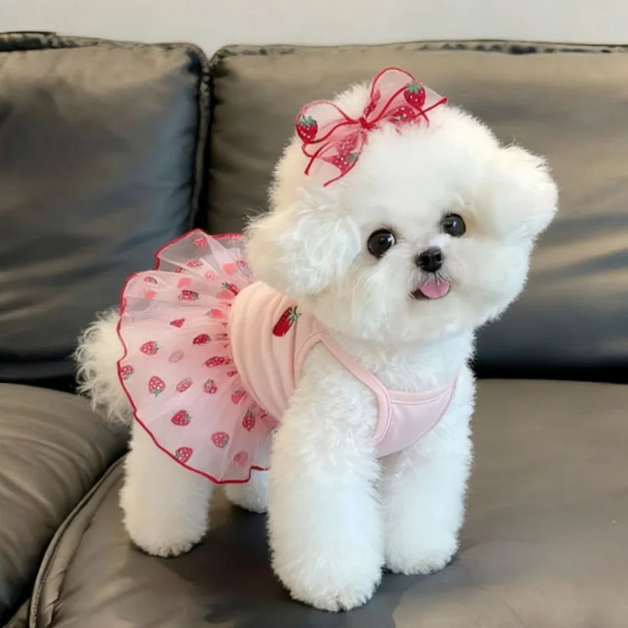 1PC Cute Pet Dog Dress for Small Dogs