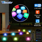 Wiscolor LED Light APP Control for Garden Lawn Courtyard