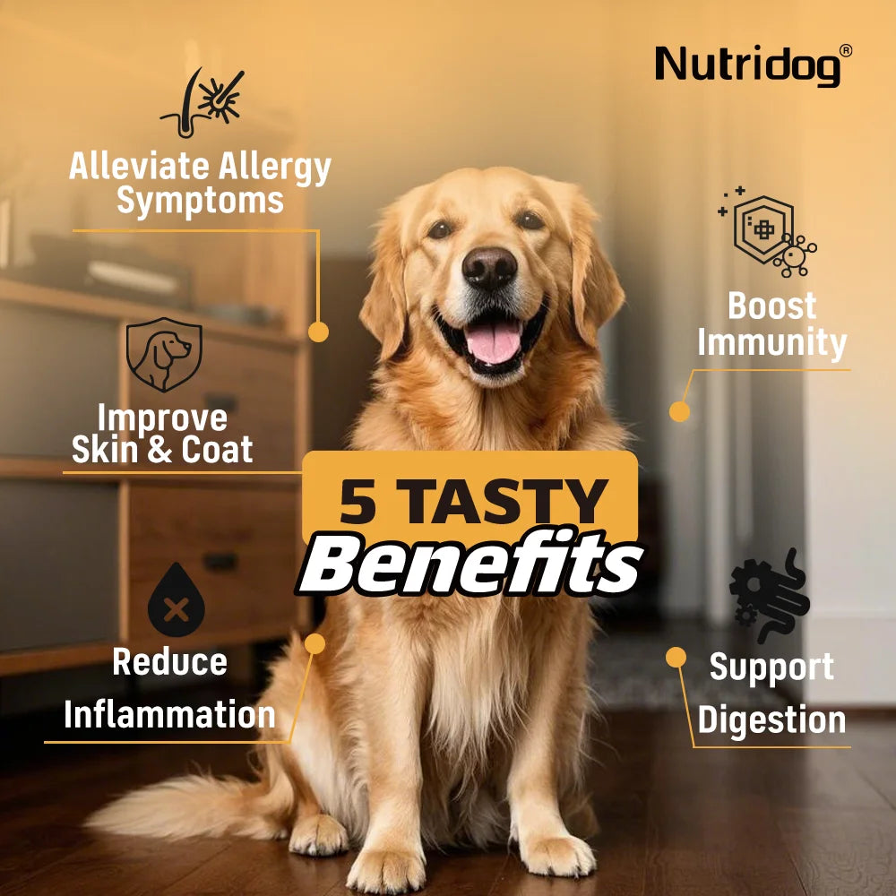 Dog Allergy Itch Relief Chews For Immune Health