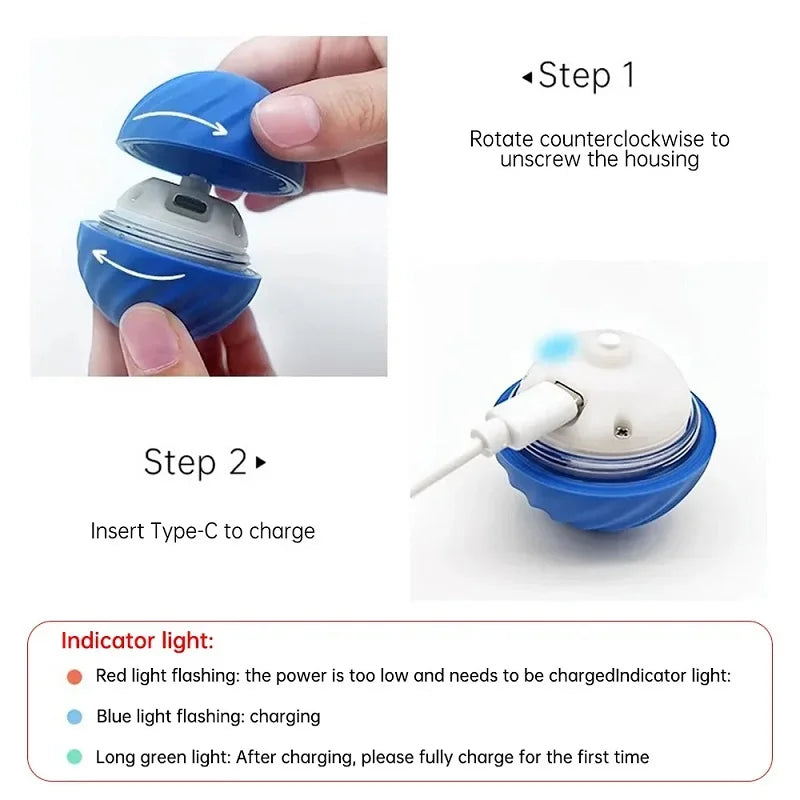 Interactive Dog Chew Toy Ball