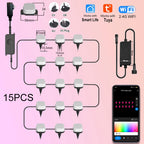 Wiscolor LED Light APP Control for Garden Lawn Courtyard