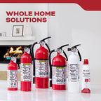Fire Extinguisher for Vehicles, Cars, Single Use 5BC,