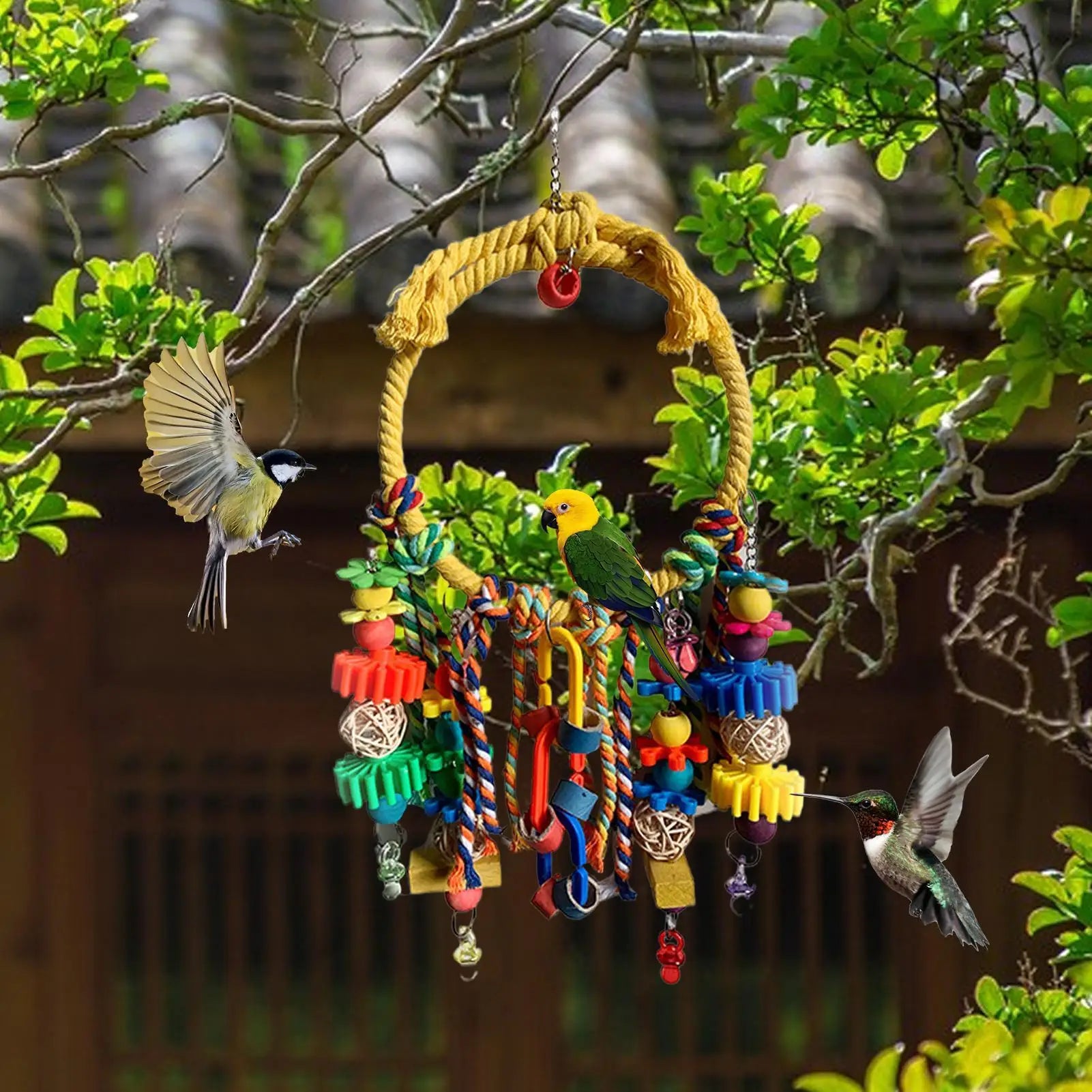 Bird Swing  Interactive Games For Climbing Chewing Exercise