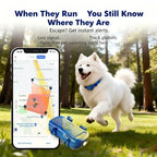 GPS Pet Tracker for Dogs Cats