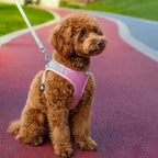 Adjustable Soft Mesh Pet Harness with Leash