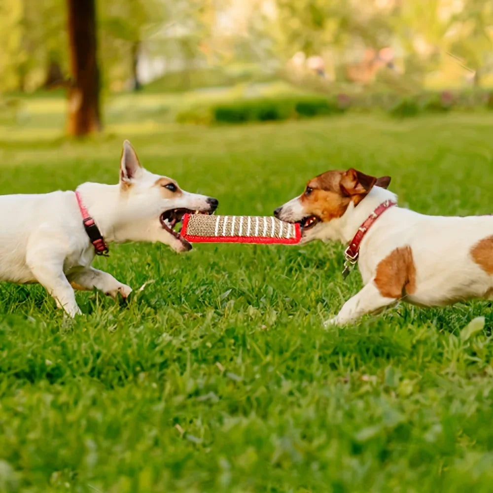 1pc Durable Jute Dog Chew Toy - Bite-Resistant