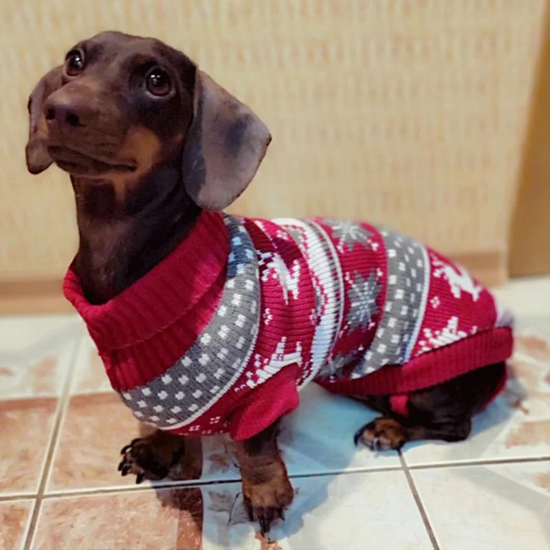 Dog Sweater Pullover for Small Dogs