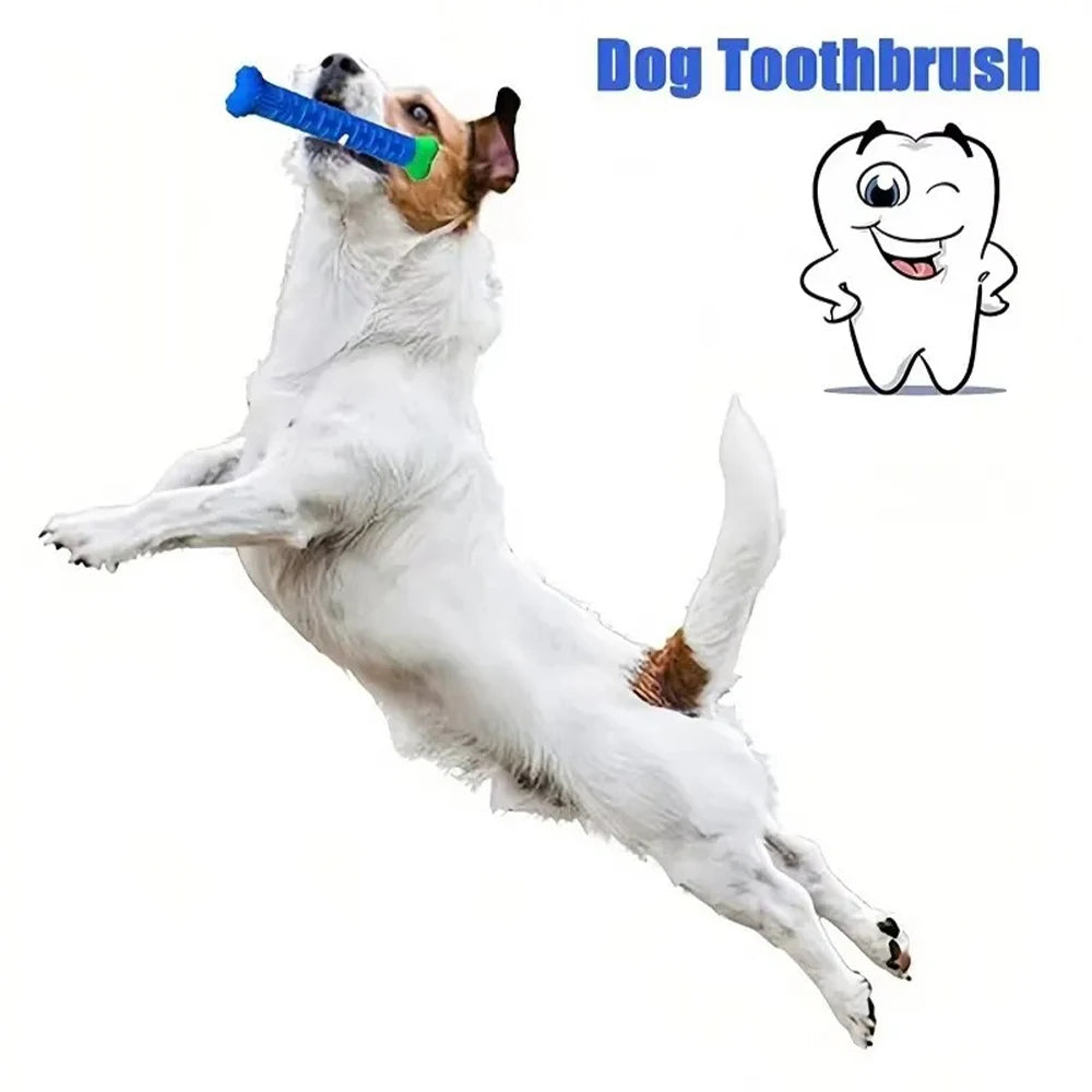 Dog Tooth Grinding Stick –  Toothbrush & Chewing Toy
