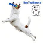 Dog Tooth Grinding Stick –  Toothbrush & Chewing Toy