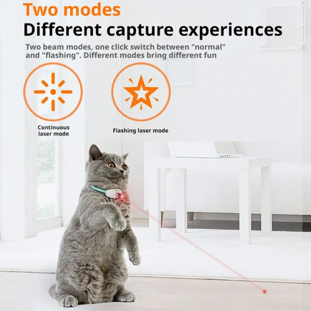 Laser Light Cat Collar Interactive Toy