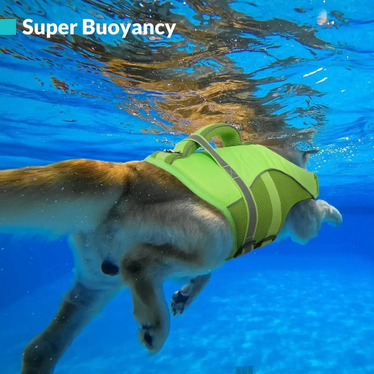 Durable Mesh Dog Life Jacket