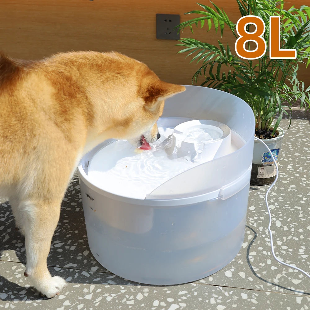 2 Gallon White Dog Water Fountain