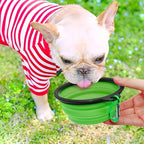 Portable Pet Food  Water Bowl  Collapsible