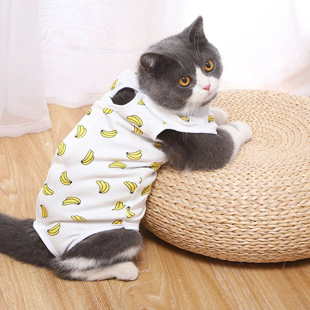 Cat/Kitten Recovery E-Collar Anti-Licking Pajamas Suit