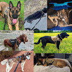 Tactical Dog Harness Leash Set for Large Dogs Military for Training Walking Hunting Pet Vest Handle