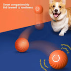 Interactive Dog Chew Toy Ball