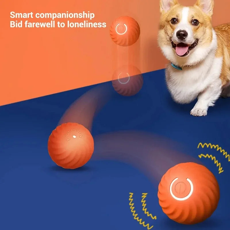 Interactive Dog Chew Toy Ball