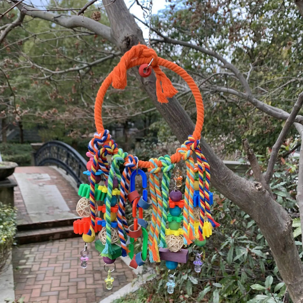 Bird Swing  Interactive Games For Climbing Chewing Exercise