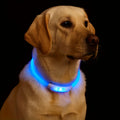 LED Glowing Dog Collar USB Rechargeable