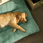 Dog Bed Kennel Extra Thickened Deluxe