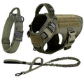 Large/Med Dog Harness And Leash Set