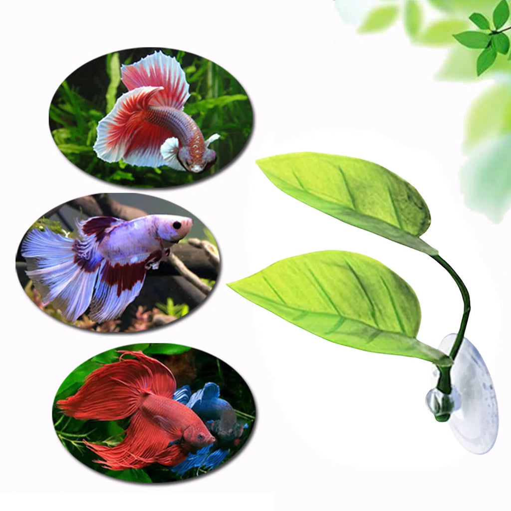 Betta Fish Leaf Pad Decoration For Aquarium