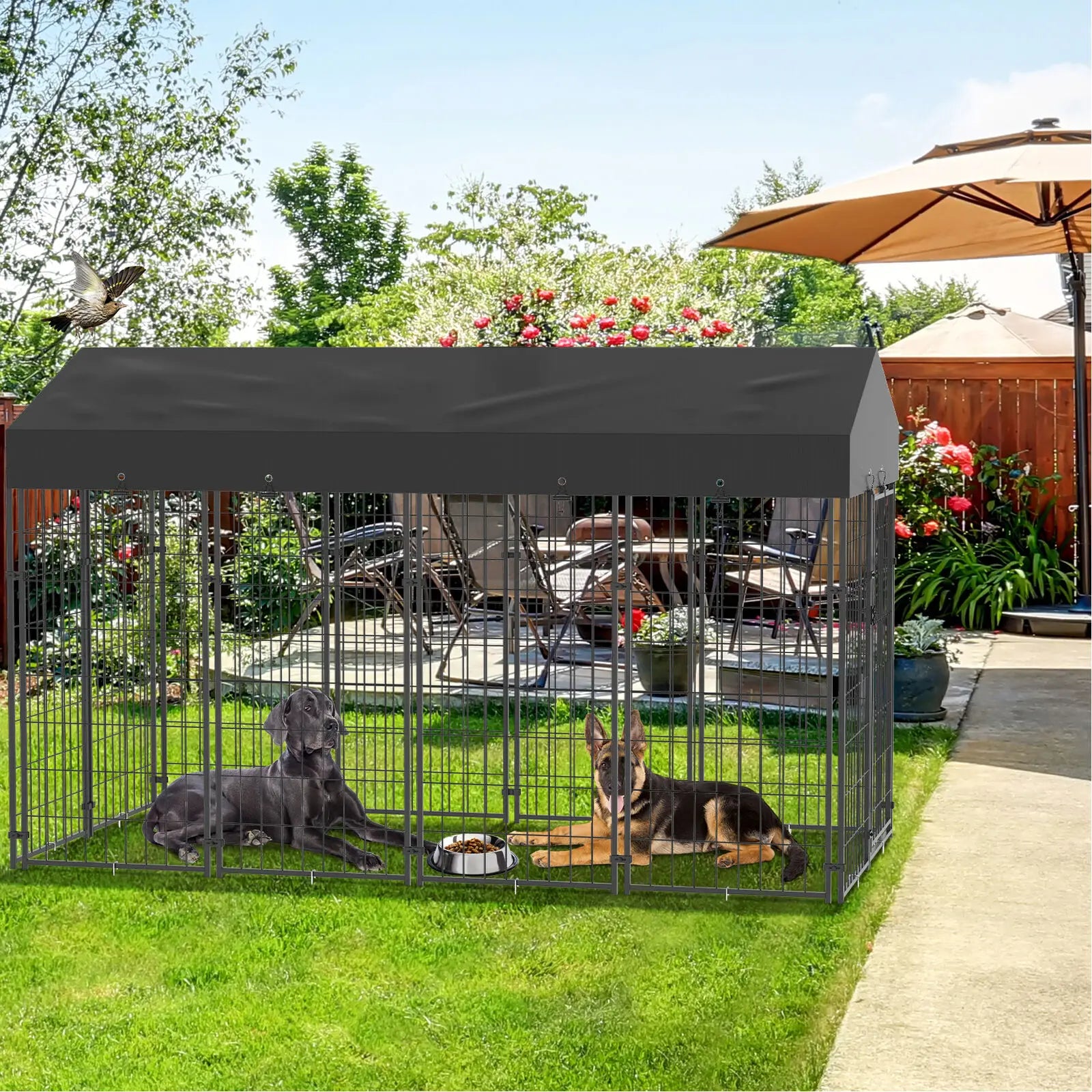 Outdoor Pet Kennel, Oversize Dog Cage,