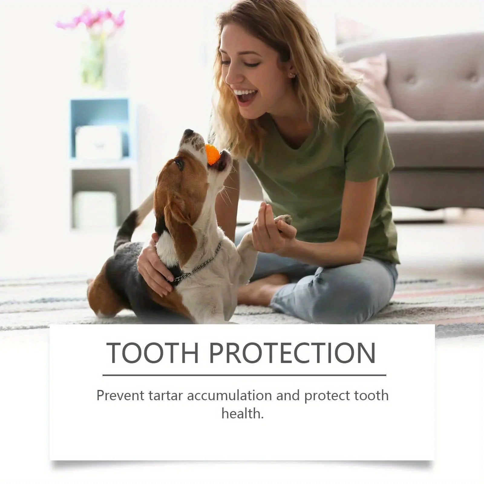 Pet Oral Cleaning Mouthwash Dental Care