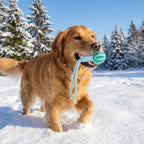 Dog Chew Ball, Treat Dispenser