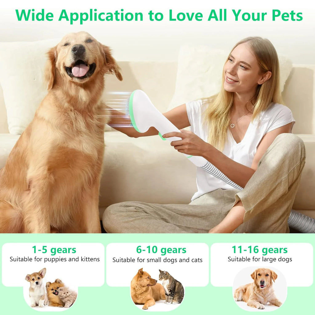 Professional Quiet Dog Grooming Vacuum Kit