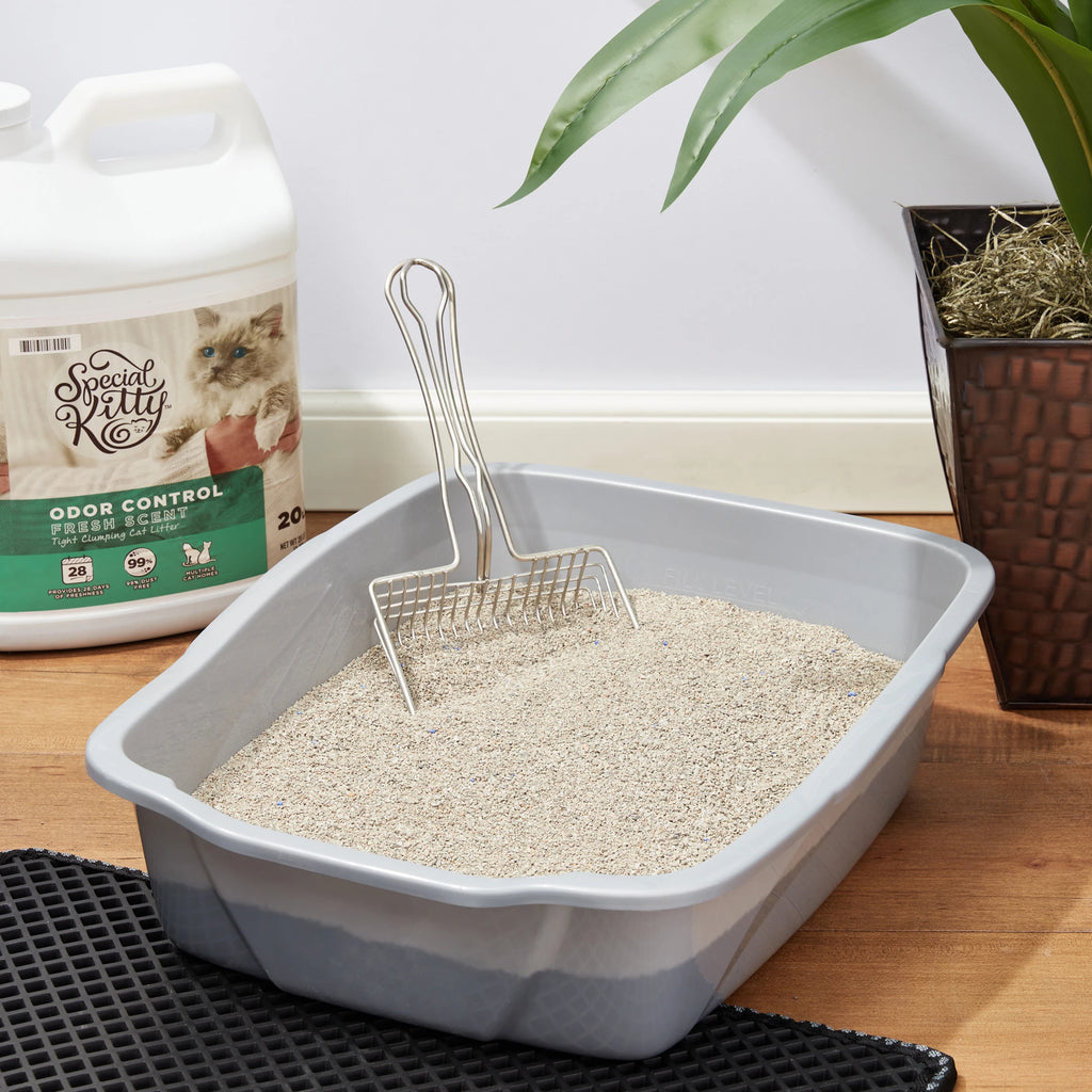 4 pack Clumping Clay Cat Litter