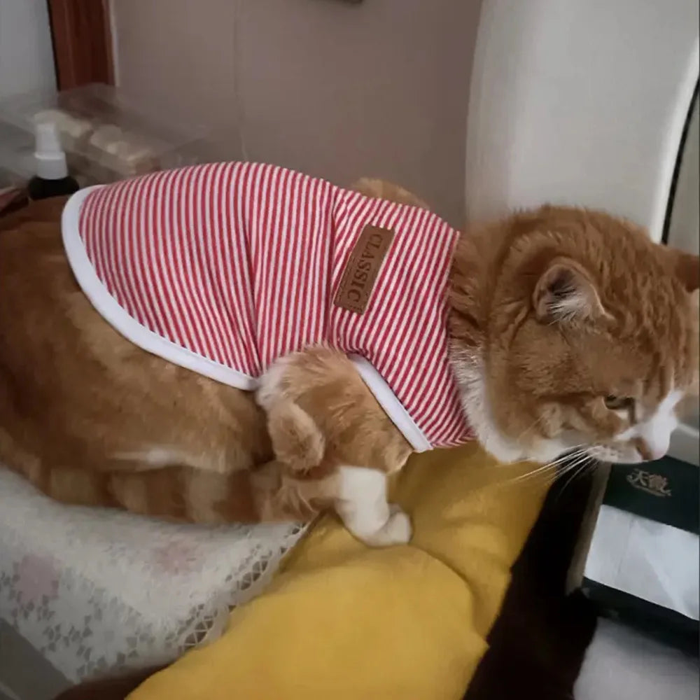 Summer Cotton  Pet Vest Sleeveless T-shirt