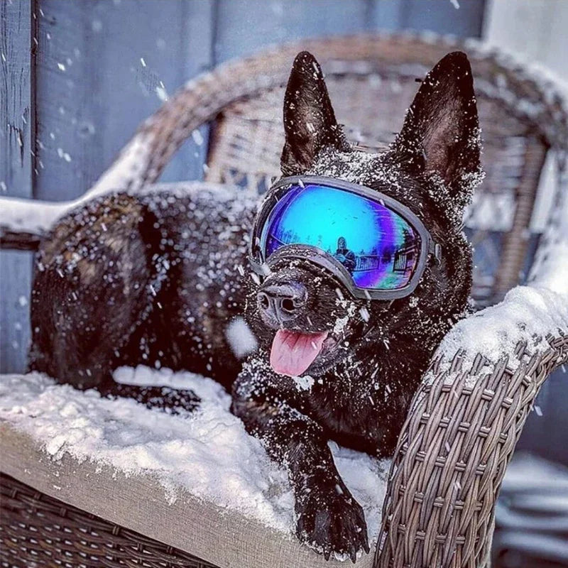 Dog Goggles Anti-UV Sun Eyewear Protection