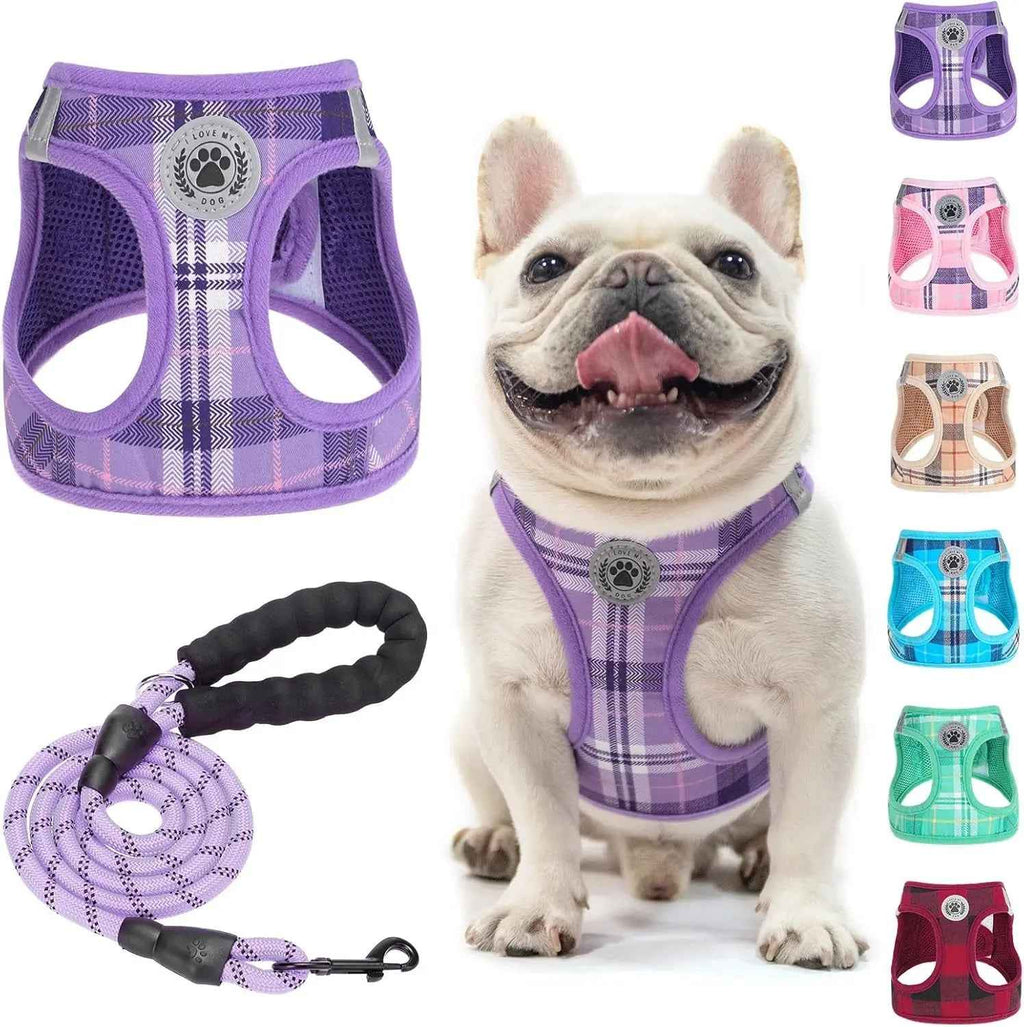 Step-In No-Pull Dog Harness & Leash Set