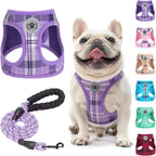 Step-In No-Pull Dog Harness & Leash Set
