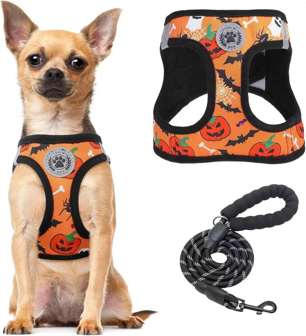 Step-In No-Pull Dog Harness & Leash Set
