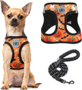 Step-In No-Pull Dog Harness & Leash Set