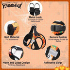 Step-In No-Pull Dog Harness & Leash Set