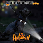 Step-In No-Pull Dog Harness & Leash Set