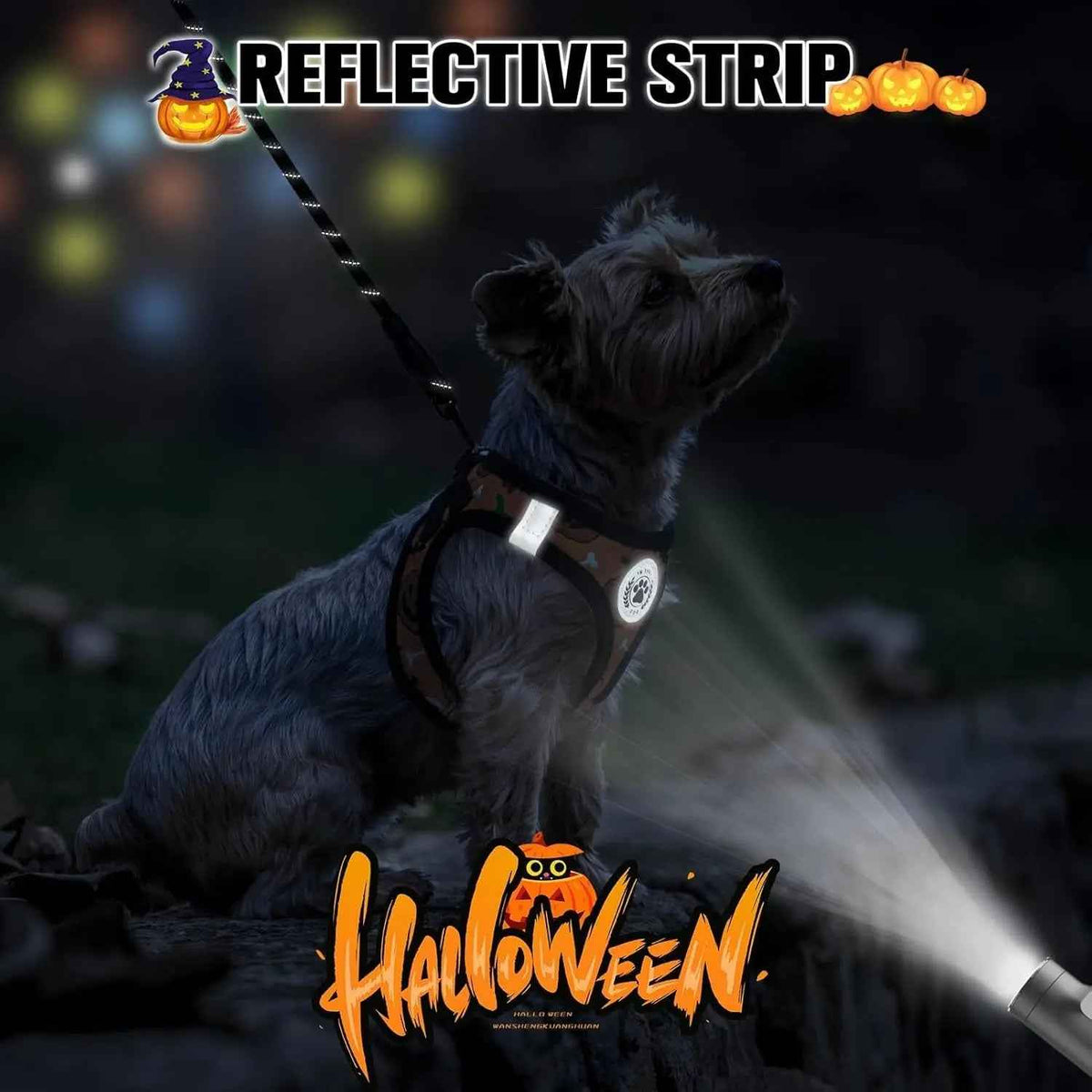 Step-In No-Pull Dog Harness & Leash Set