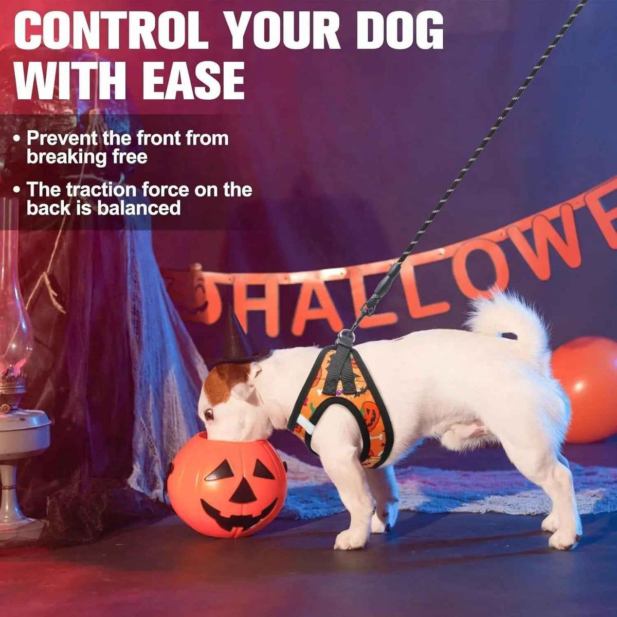 Step-In No-Pull Dog Harness & Leash Set