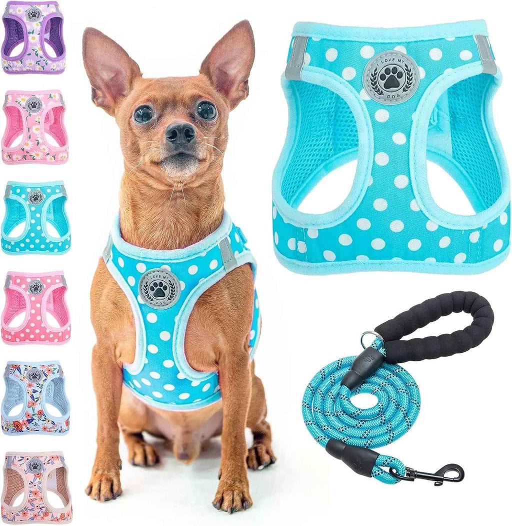Step-In No-Pull Dog Harness & Leash Set