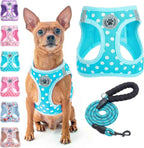 Step-In No-Pull Dog Harness & Leash Set