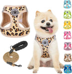 Step-In No-Pull Dog Harness & Leash Set