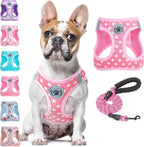 Step-In No-Pull Dog Harness & Leash Set