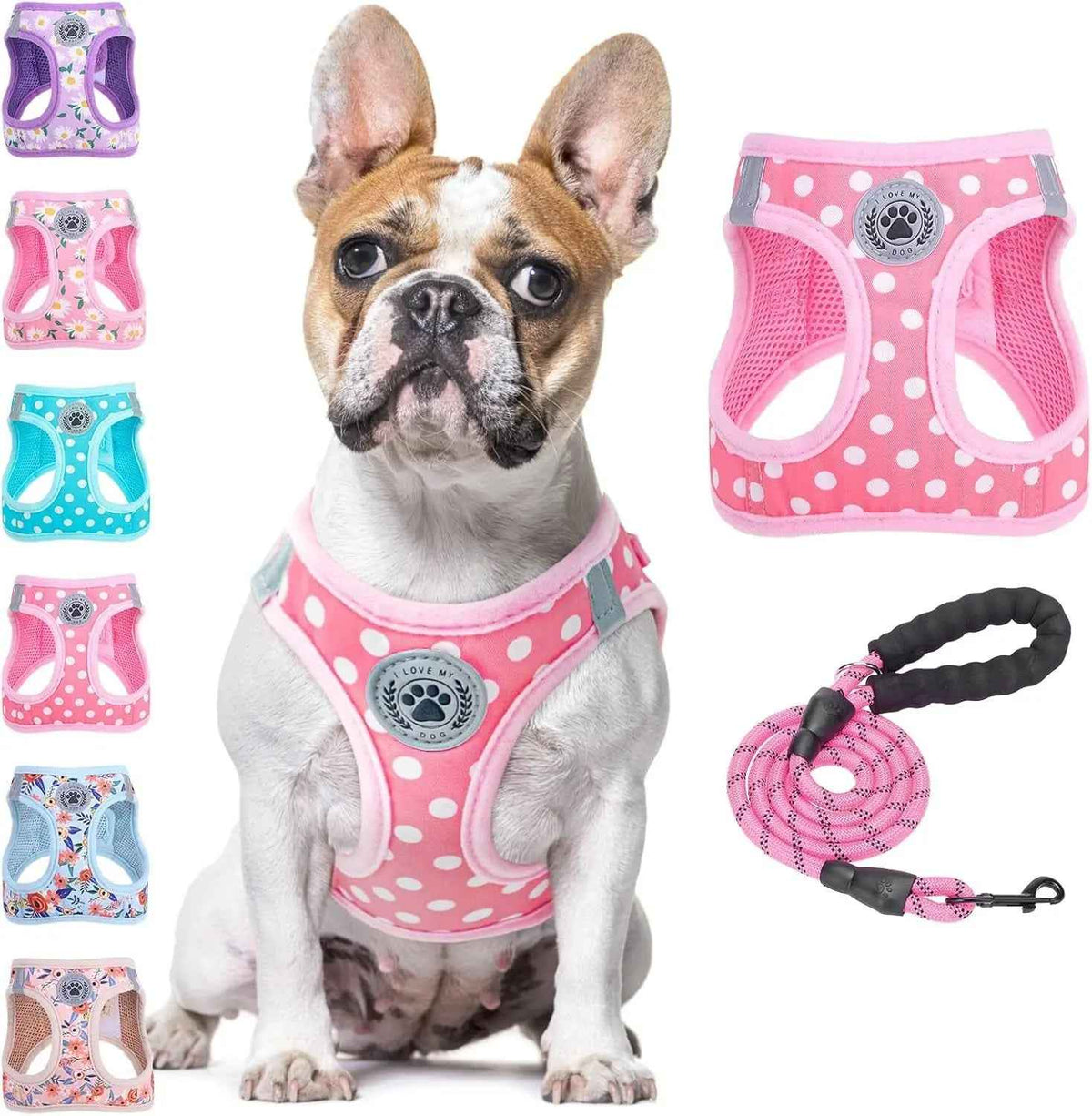 Step-In No-Pull Dog Harness & Leash Set