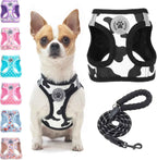 Step-In No-Pull Dog Harness & Leash Set