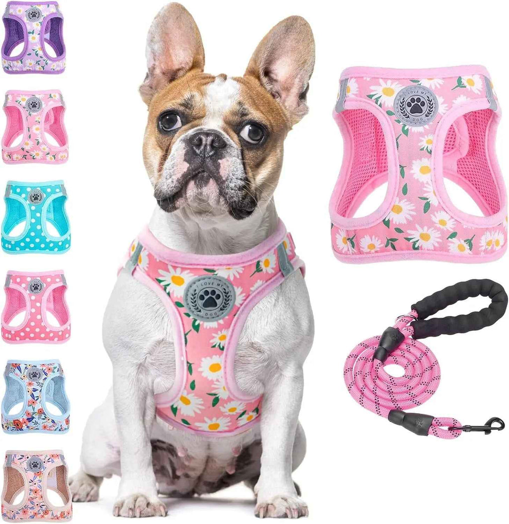 Step-In No-Pull Dog Harness & Leash Set